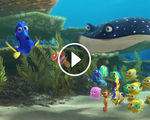 Alla Ricerca di Dory – Il Primo Trailer Ufficiale!