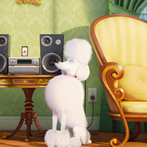 Pets Vita da Animali il nuovo trailer